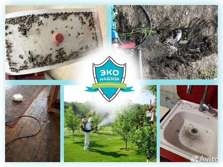 Уничтожение тараканов клопов комаров дезинфекция