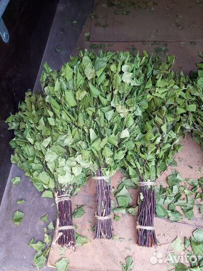 Березовые веники