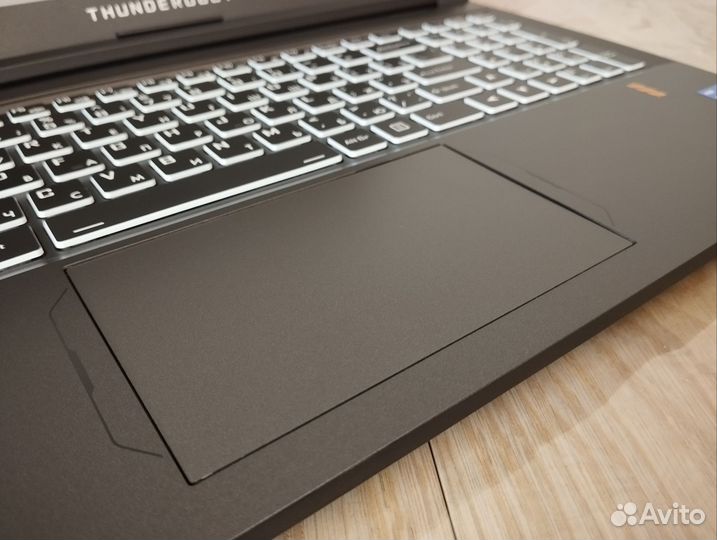 Thunderobot i5-12450H/RTX 3060/16Gb/512Gb