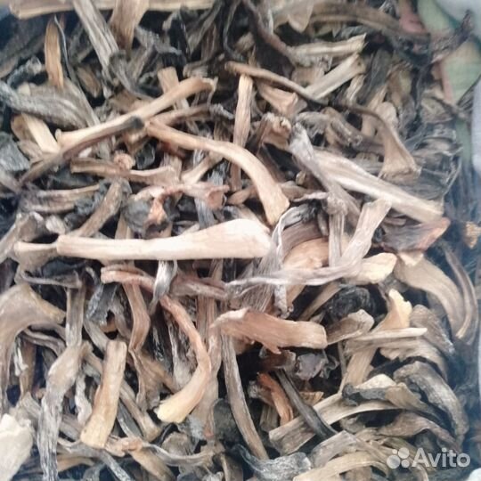 Сушеные грибы, ножки подосиновиков