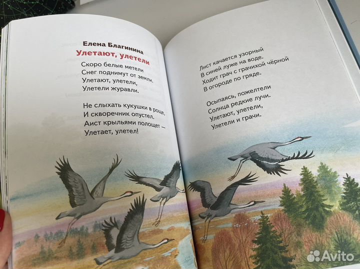 Книга внеклассное чтение