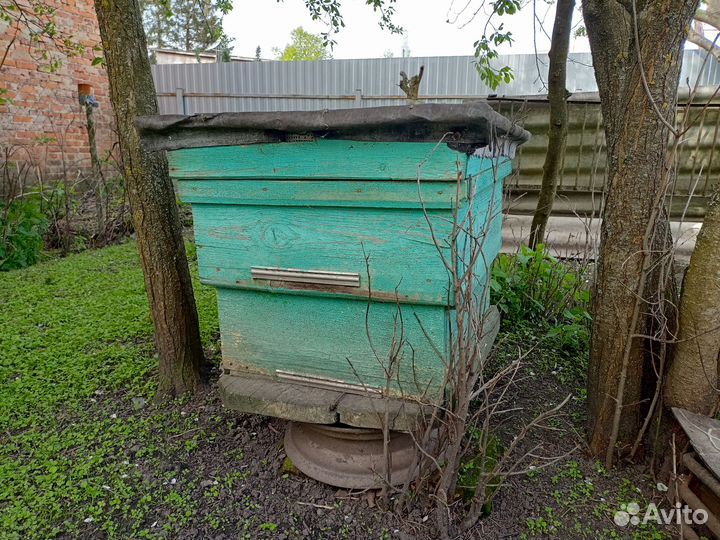 Продам ульи для пчел