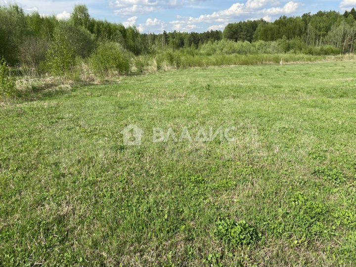Участок 10 сот. (ИЖС)