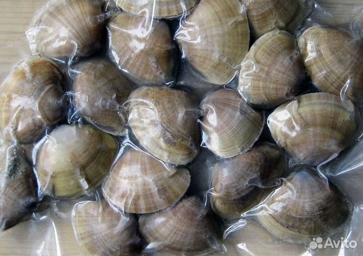 Клеммы Вонголе