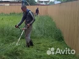 Покос скос травы на учстке триммером