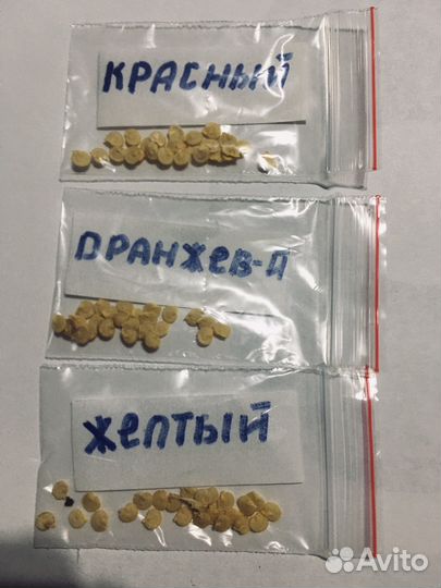 Семена сладкого перца