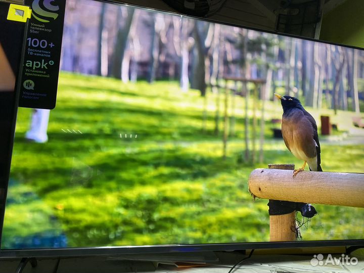 Топ qled 127 с нейросетью нового поколения