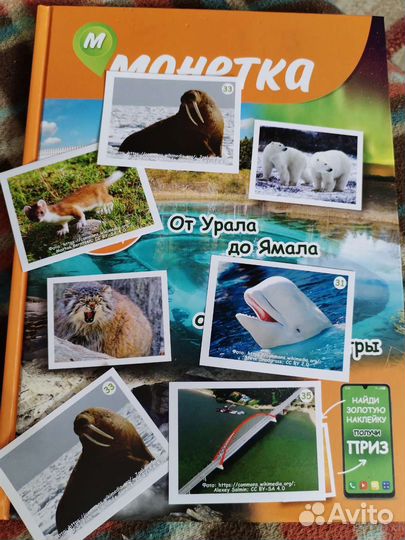 Наклейки из монетки