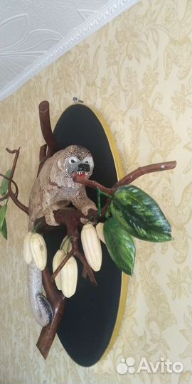 Обезьяна Ревун