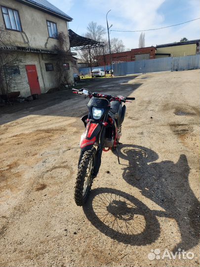 BSE z11