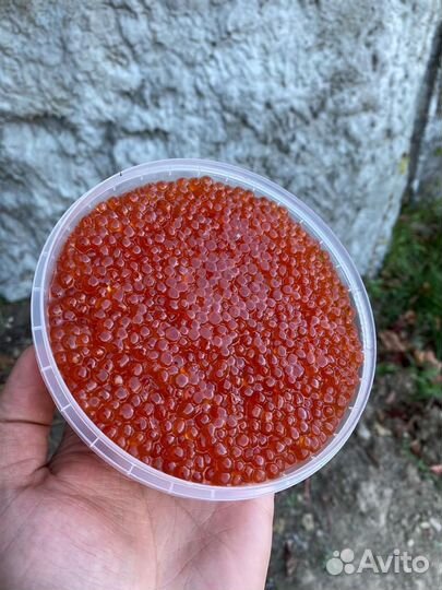 Красная икра оптом