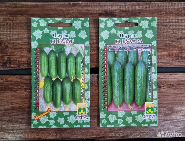 Семена огурцов Манул