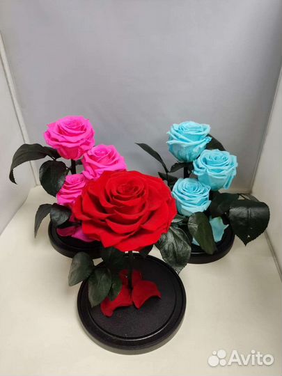 Подарок на новый год / Роза в колбе