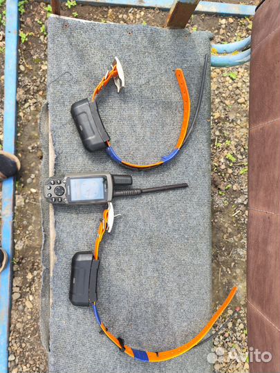 Навигатор garmin Astro 220 с ошейником