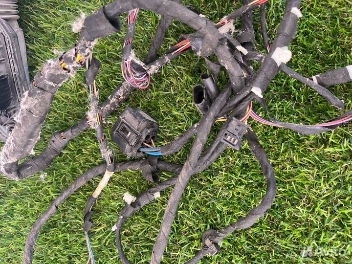 Проводка двери передней правой BMW 5 4811913