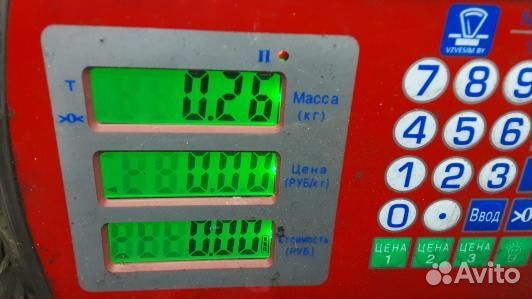 Петля капота audi A6 C6 (99H02D501)