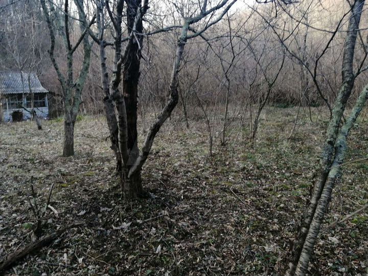 Дача 20 м² на участке 5 сот.