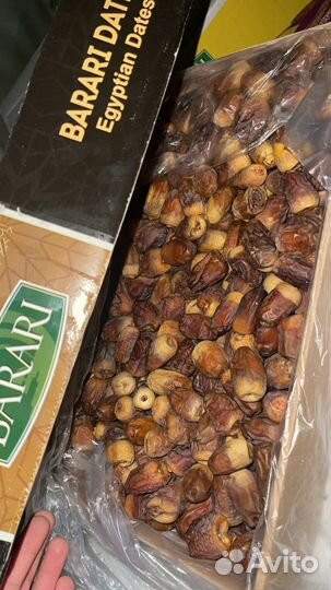 Финики Суккари