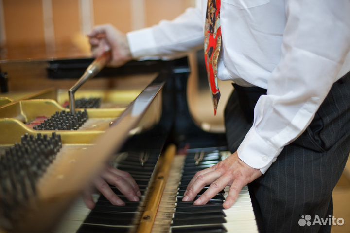 Настройка пианино, роялей
