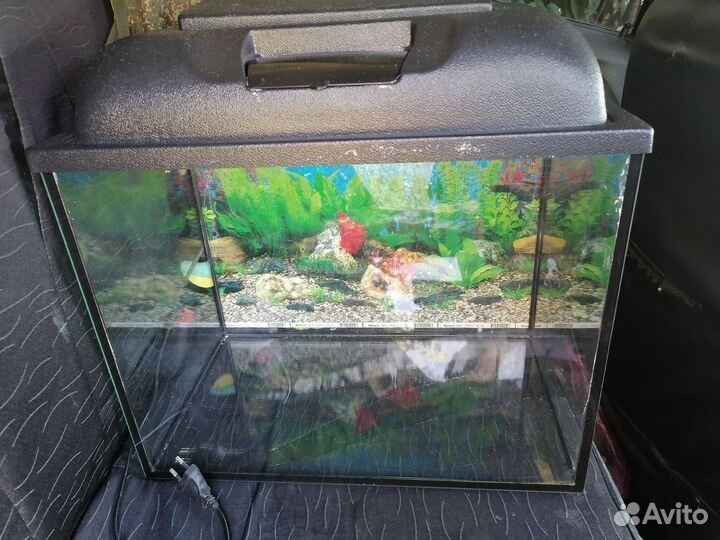 Аквариум 40л