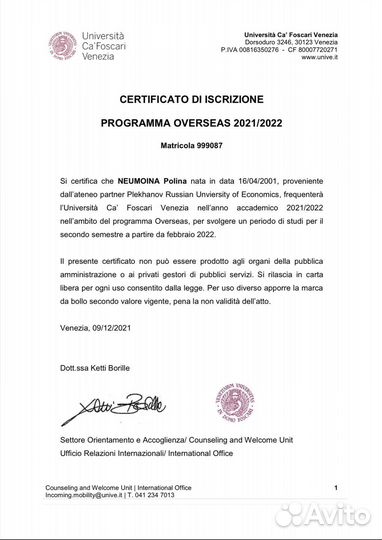 Консультация по поступлению в Италию/ВНЖ/DSU/CV