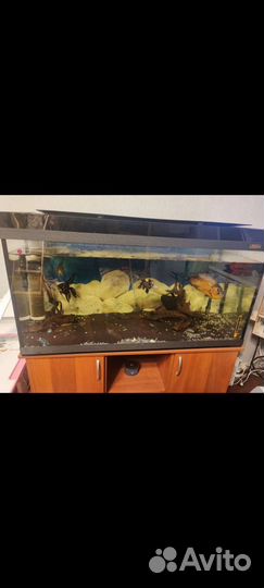 Аквариум