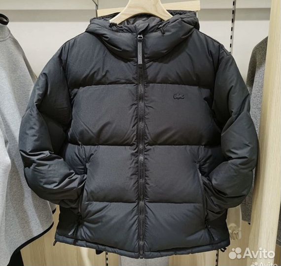 Куртка lacoste padded обмен