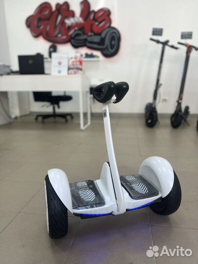 Сигвей новый