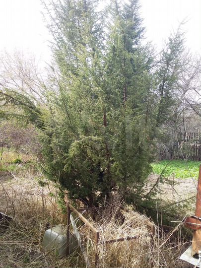 Дом 30 м² на участке 25 сот.