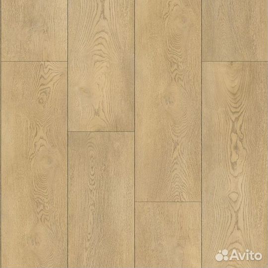 SPC ламинат Floorwood Quantum Дуб Томсон 8804