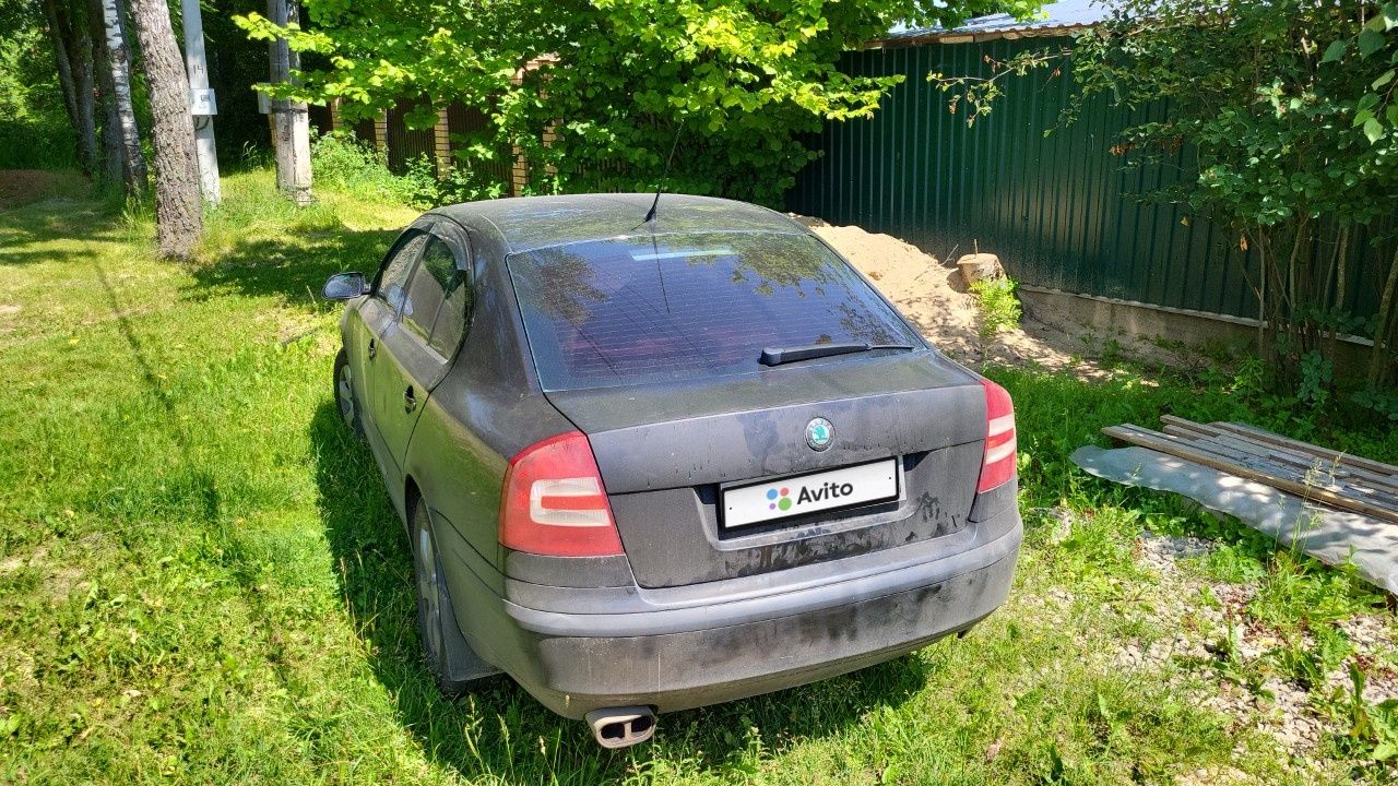 Skoda Octavia: фото владельца