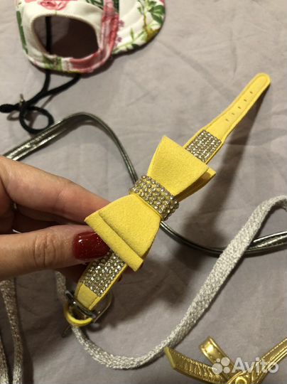 Поводок для собак