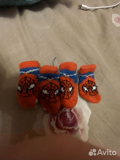 Тапочки для собак