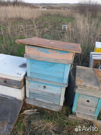 Ульи для пчёл начинающему пчеловоду