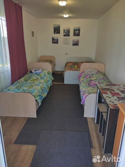 Отдых на берегу озера Шира