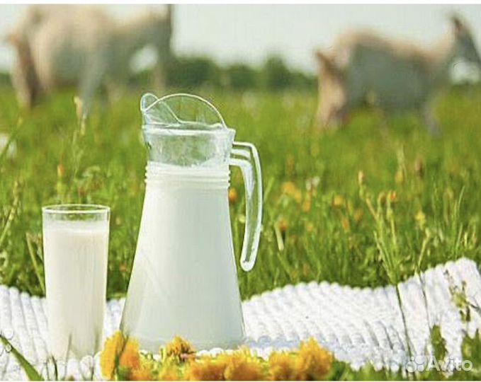 Козье молоко