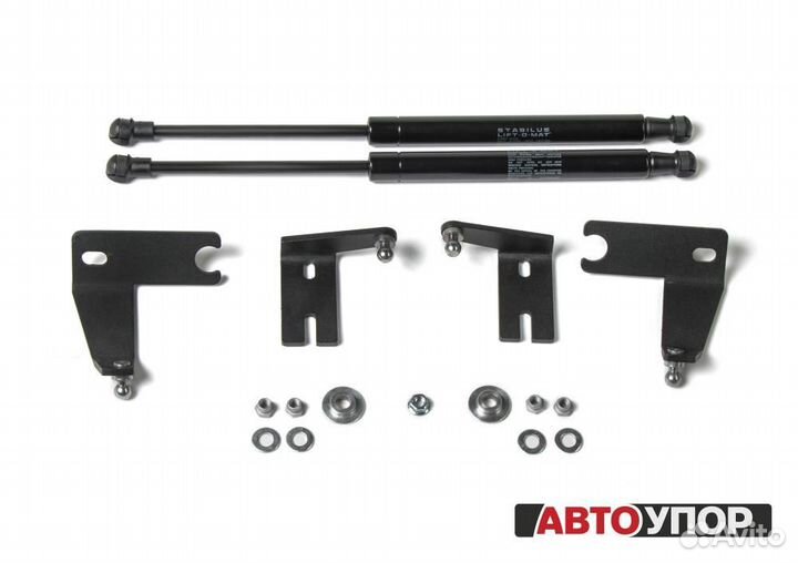 Газовые Упоры Капота Ford Kuga 2 (2012-2016)