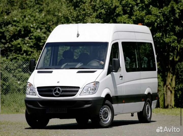 Водитель категории д