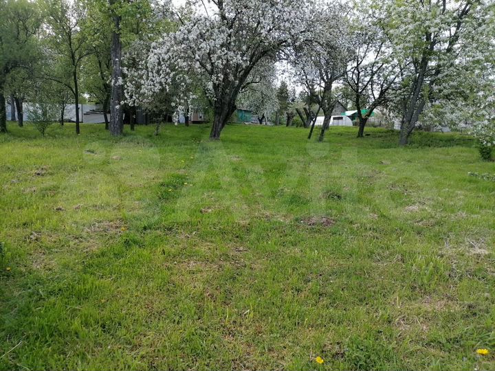 Дом 59 м² на участке 50 сот.