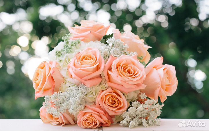 Репетитор по математике