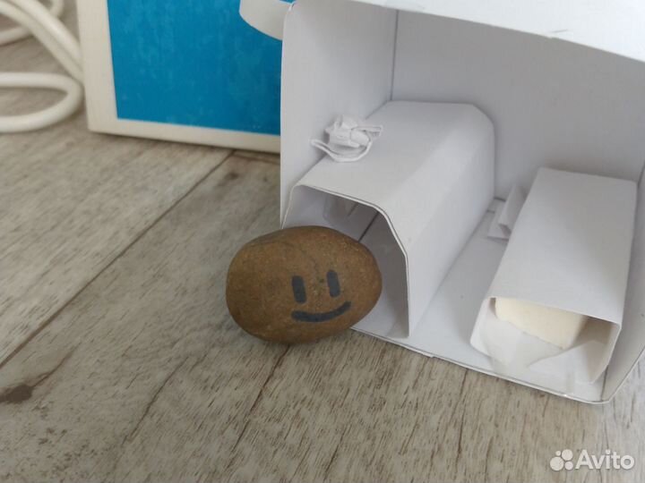 Питомец камень (pet stone)