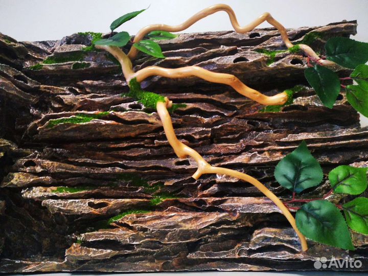 3D фон для террариума
