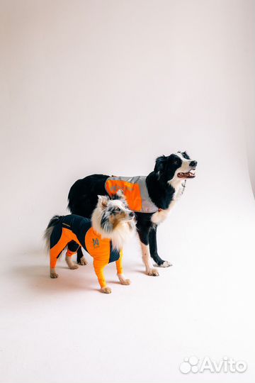 Комбинезон для собак protector snow Non-stop