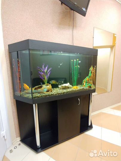 6з35з7аквариум 100л 150л 200л