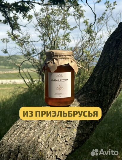 Мед горное разнотравье