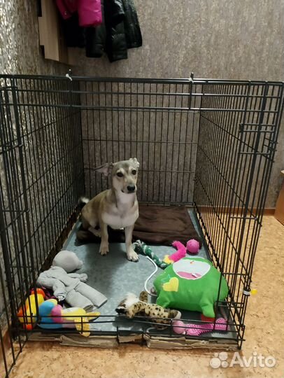 Клетка для собак 6 номер