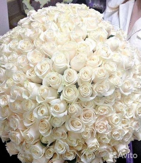 Длинные высокие розы 110 150 160 180 200 см