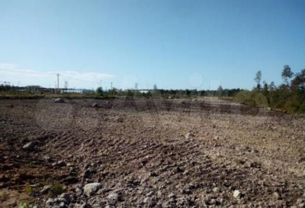 Участок 31,25 га (промназначения)