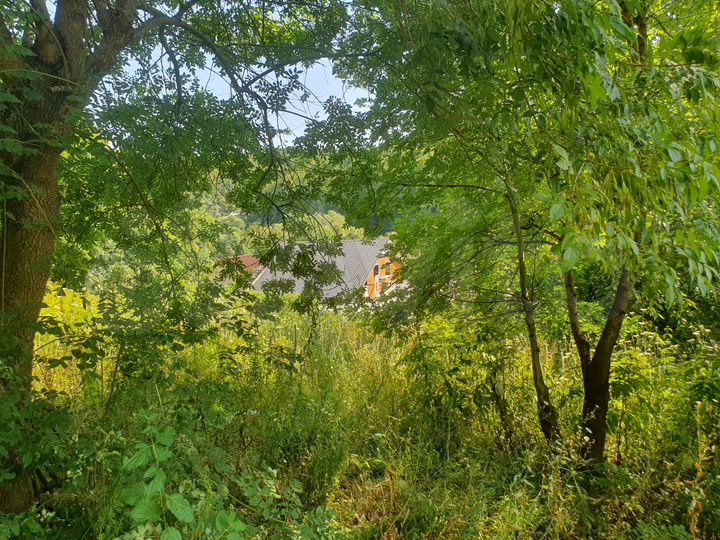 Участок 6 сот. (СНТ, ДНП)