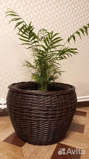 Горшки из ротанга